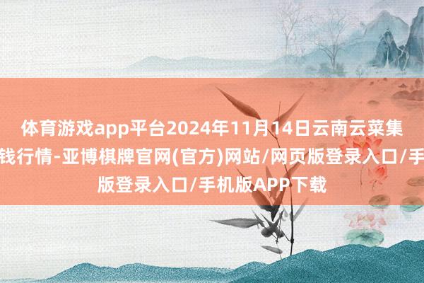 体育游戏app平台2024年11月14日云南云菜集团有限公司价钱行情-亚博棋牌官网(官方)网站/网页版登录入口/手机版APP下载